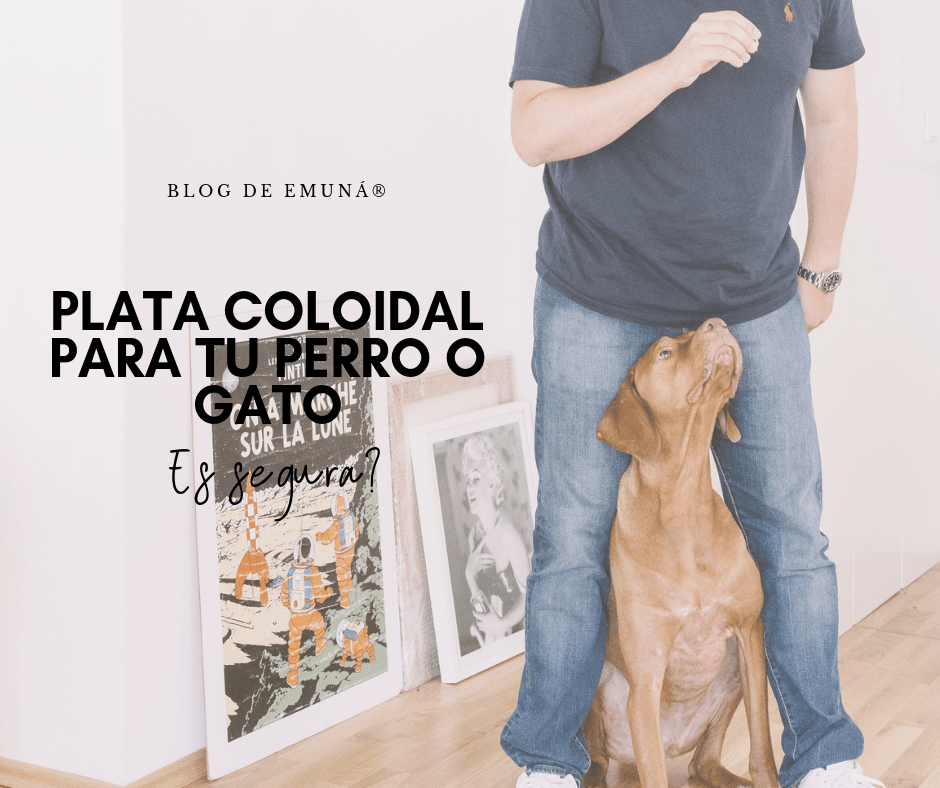 Besugo Caliza Combatiente Plata coloidal para perros y gatos - EMUNÁ -